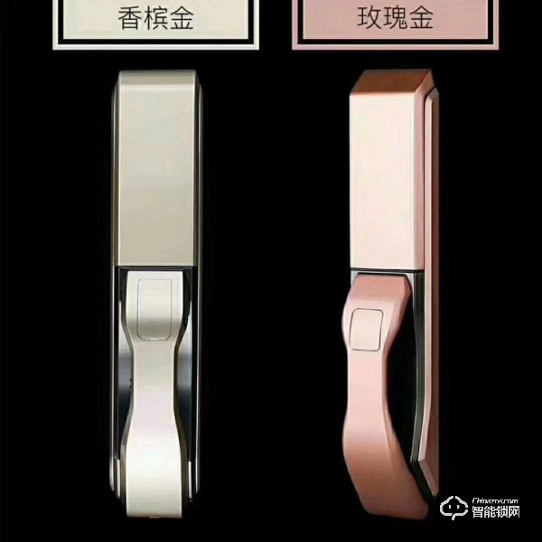 新銳智能鎖 推拉式指紋密碼鎖 防盜門智能鎖