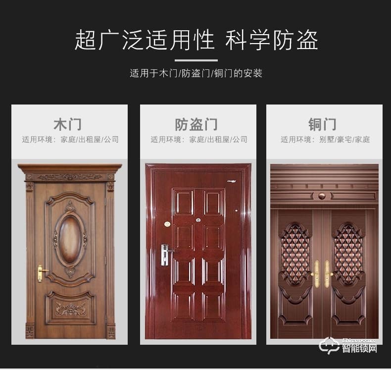 騰飛指紋鎖 家用辦公室內(nèi)臥室房門大門電子防盜門鎖