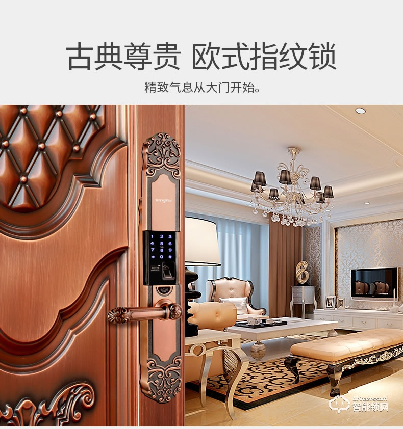 騰飛指紋鎖 歐式防盜門鎖智能密碼鎖
