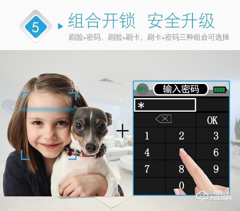 騰飛指紋鎖 人臉識別鎖防盜門密碼智能門鎖