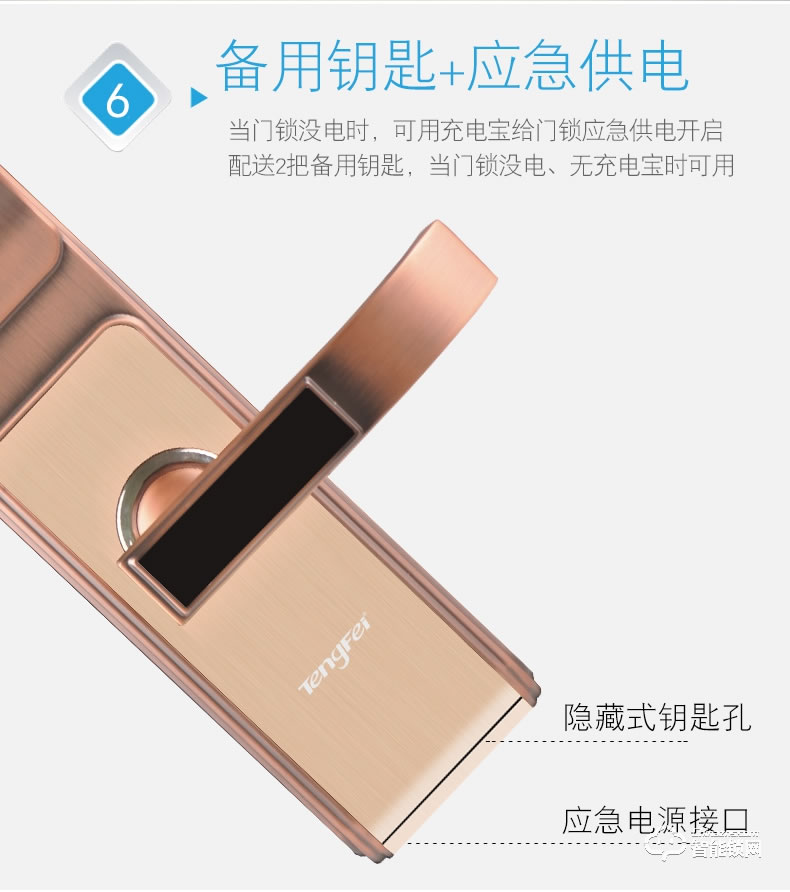 騰飛指紋鎖 人臉識別鎖防盜門密碼智能門鎖