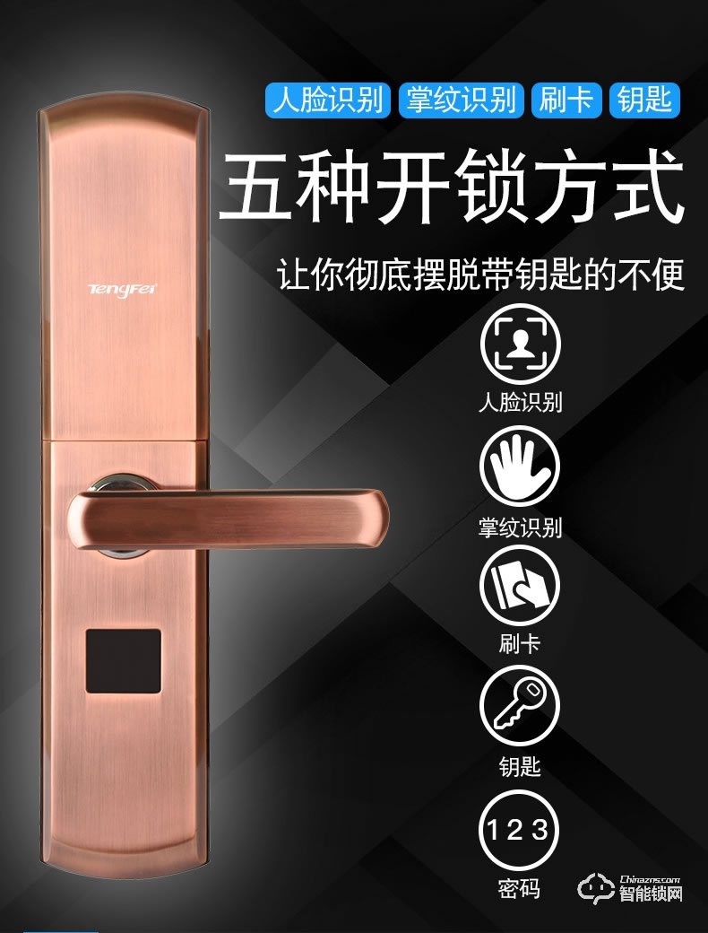 騰飛指紋鎖 智能人臉識(shí)別家用防盜門(mén)密碼鎖