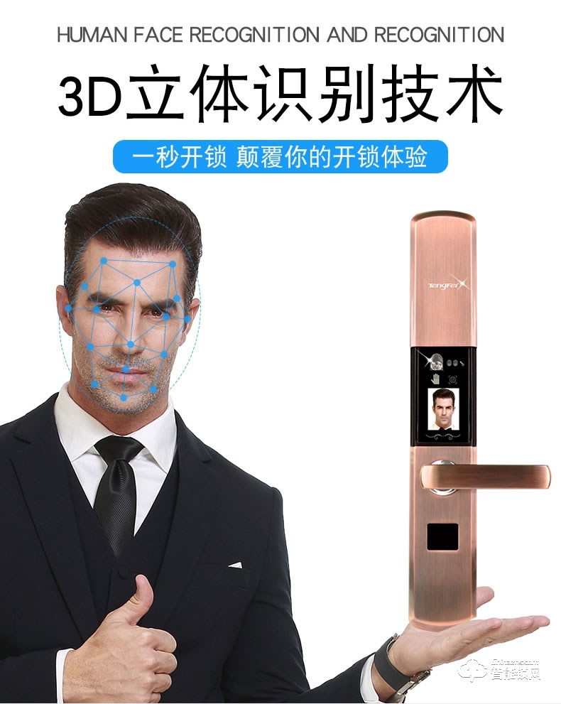 騰飛指紋鎖 智能人臉識(shí)別家用防盜門(mén)密碼鎖