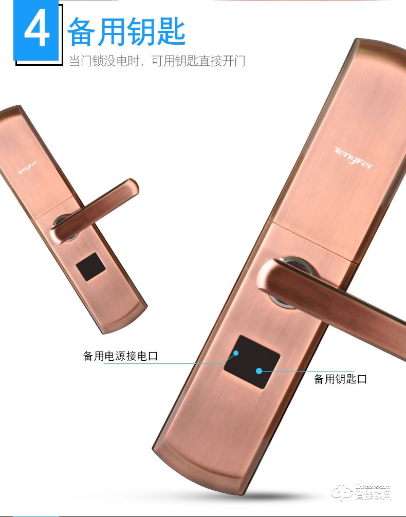 騰飛指紋鎖 智能人臉識(shí)別家用防盜門(mén)密碼鎖