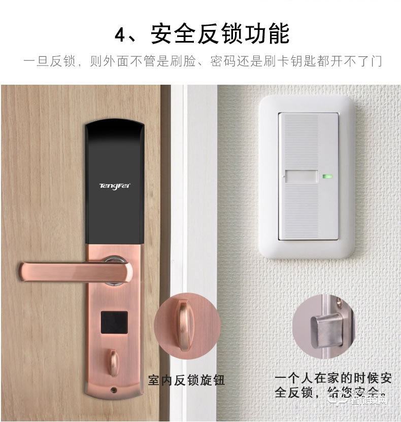 騰飛指紋鎖 智能人臉識(shí)別家用防盜門(mén)密碼鎖