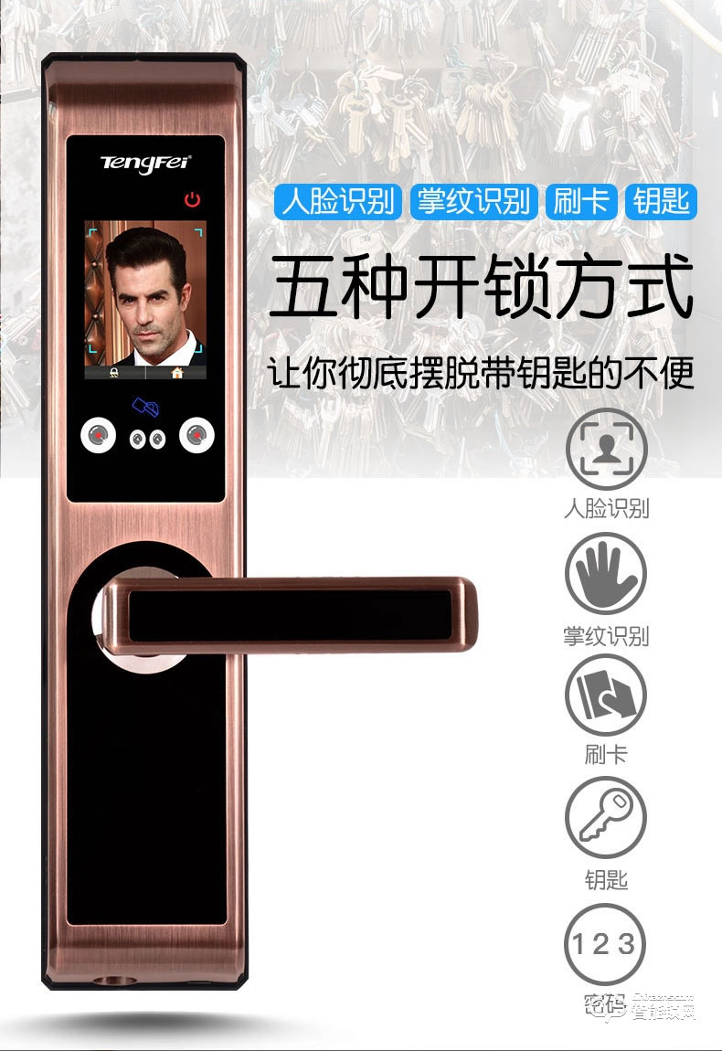 騰飛指紋鎖 人臉識別鎖家用推拉式智能密碼鎖