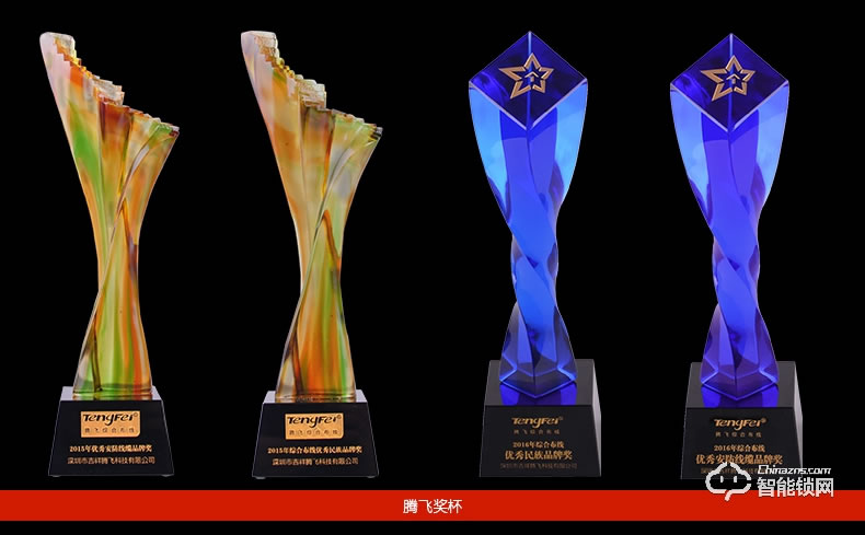 騰飛指紋鎖 人臉識別鎖家用推拉式智能密碼鎖