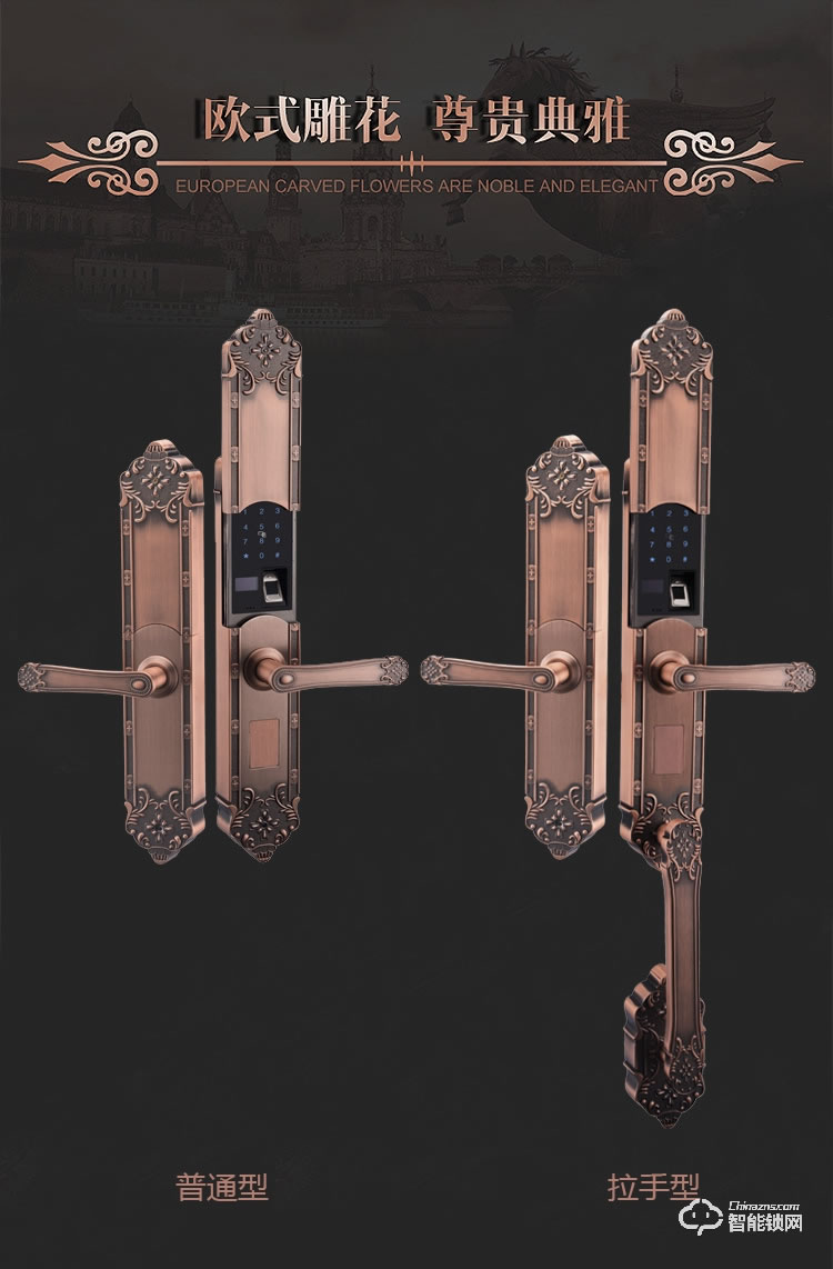 深麗安智能鎖 G5別墅門防盜銅鐵鋁合金門磁卡鎖