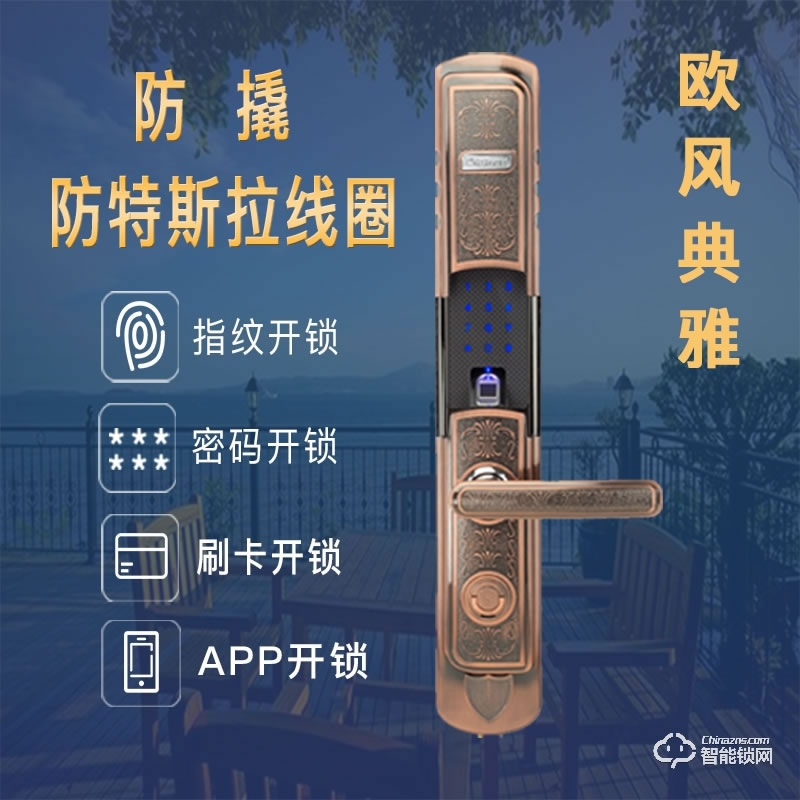 紋盾美智能鎖  L6S歐式經典智能鎖