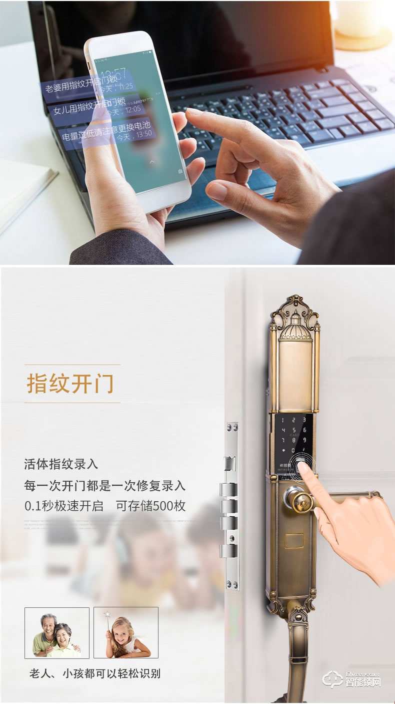 索普頓指紋鎖 S12別墅大門密碼磁卡感應智能鎖