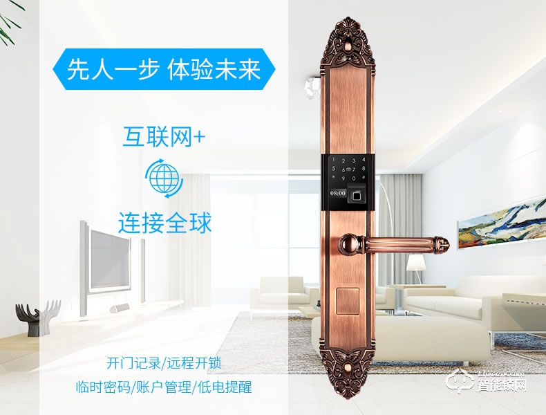 佳寶麗智能鎖 歐式別墅門鎖大門電子鎖