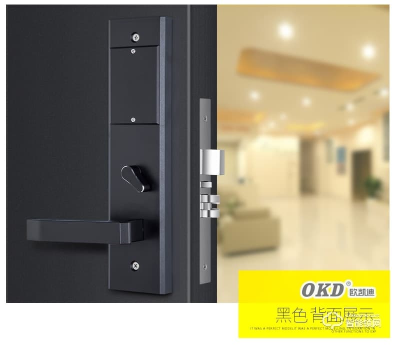 歐凱迪智能鎖 日租房公寓密碼鎖