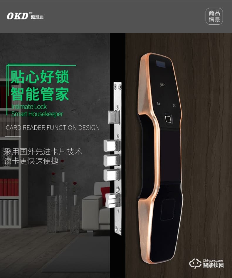 歐凱迪智能鎖 大門防盜門指紋鎖智能門鎖