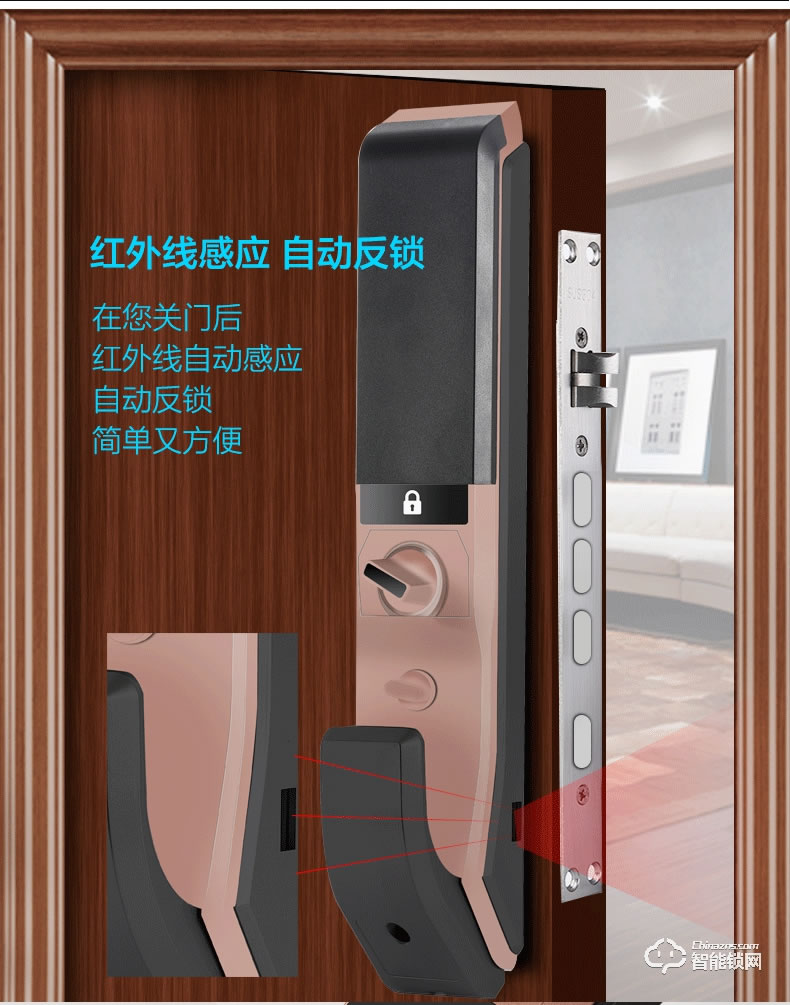 愛獅盾智能鎖 ASD-F1家用防盜門玻璃門密碼鎖