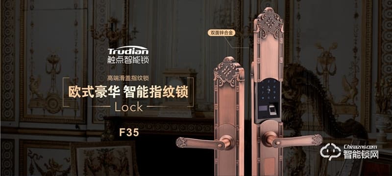 觸點智能鎖 F35別墅式滑蓋智能門鎖