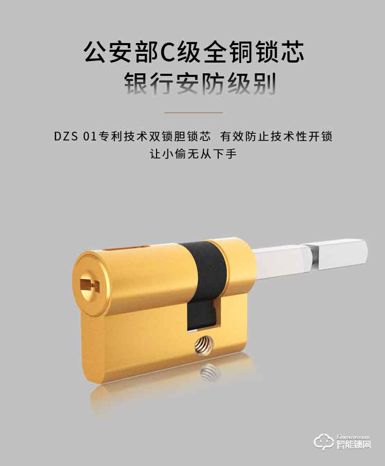 金網(wǎng)通智能鎖 9810S家用智能密碼指紋鎖