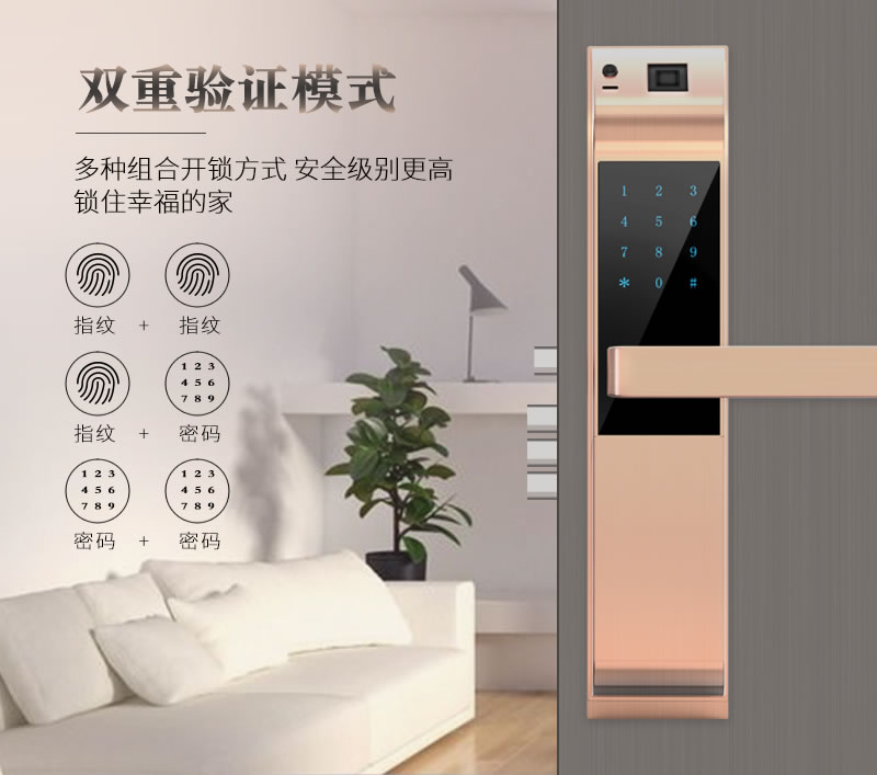 金網(wǎng)通智能鎖 8301臨時(shí)密碼C級(jí)鎖芯智能鎖