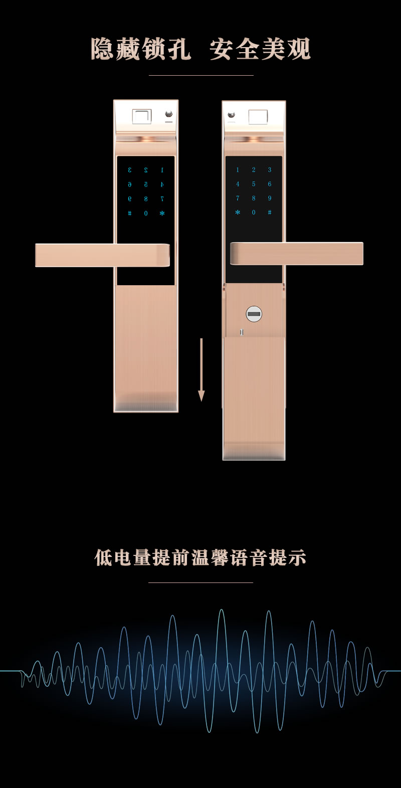 金網(wǎng)通智能鎖 8301臨時(shí)密碼C級(jí)鎖芯智能鎖