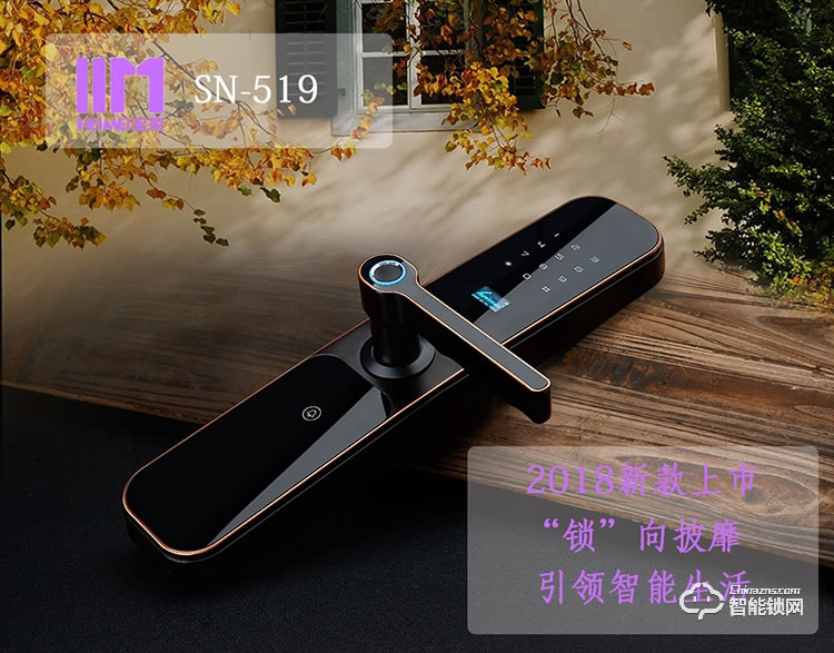 黑玫智能鎖 SN-519家用防盜門大門鎖刷卡磁卡鎖