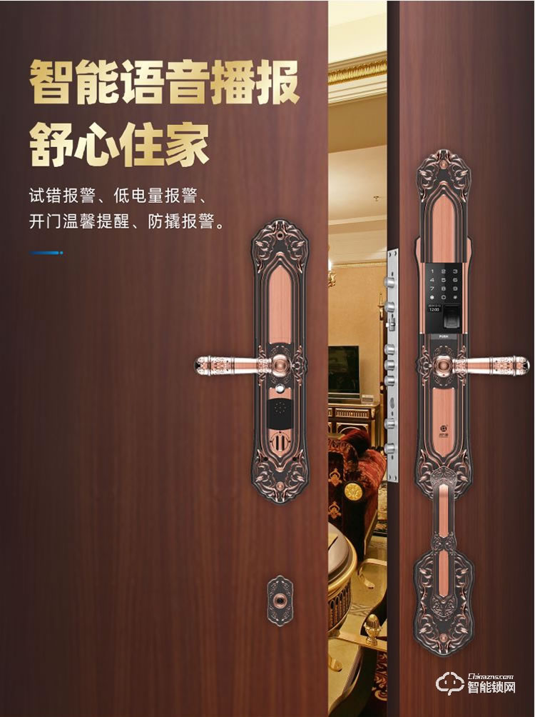 鴻興福智能鎖 D18豪華別墅智能指紋鎖