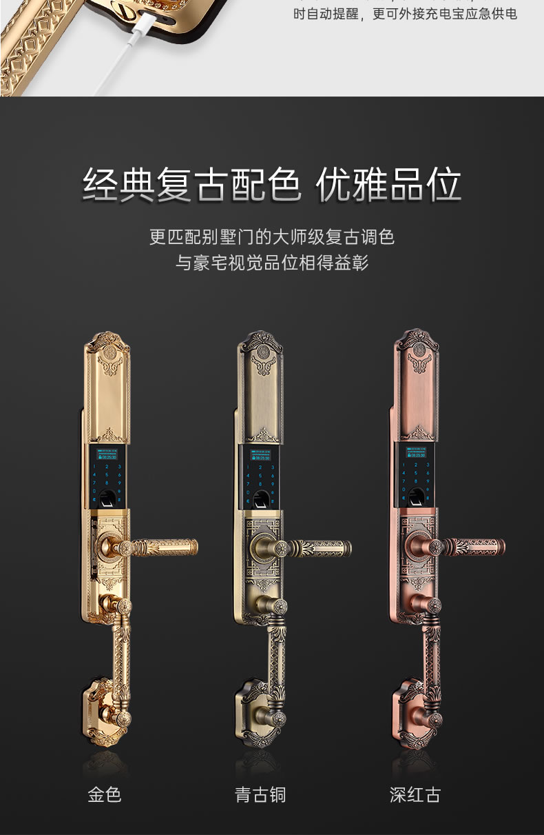 黑龍智能鎖 802別墅門指紋鎖家用防盜門鎖