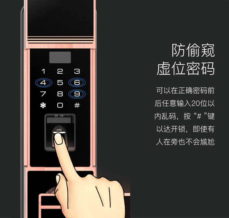 佰德龍智能鎖 219家用防盜門指紋鎖遠程智能鎖