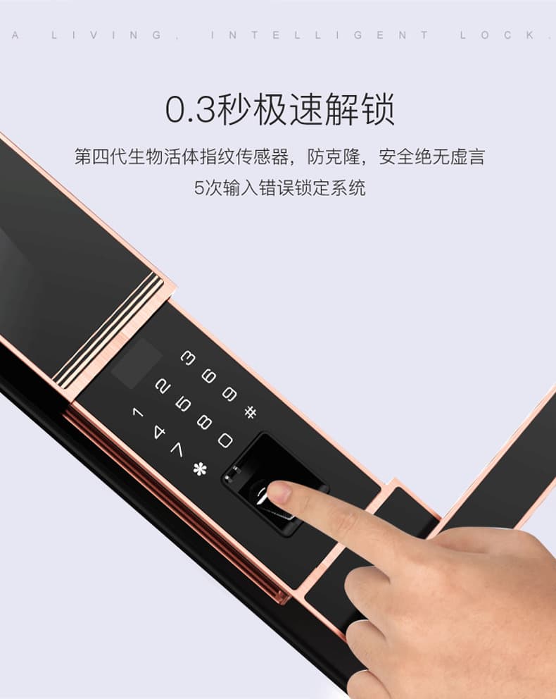 佰德龍智能鎖 219家用防盜門指紋鎖遠程智能鎖