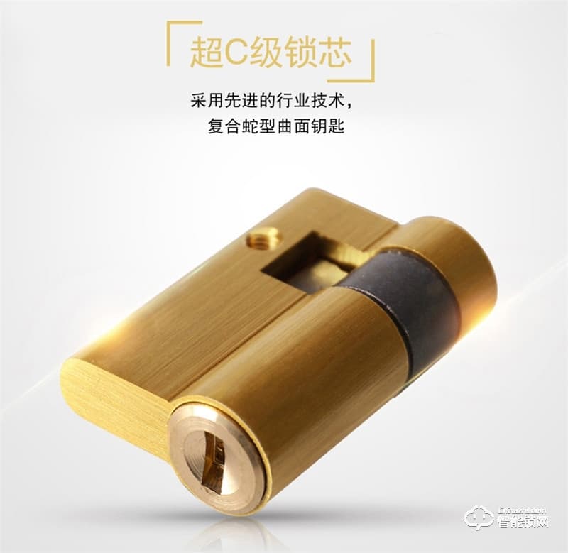 佰德龍智能鎖 Q9人臉識別鎖智能門鎖掌紋鎖