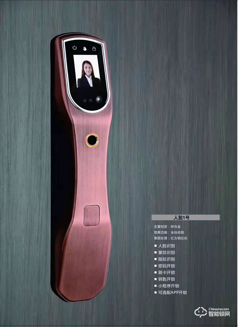 拉多拉斯智能鎖 人臉1號全自動智能鎖