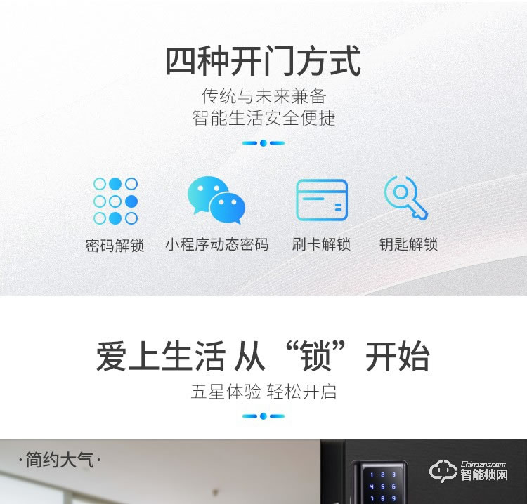 西紅仕智能鎖 H2公寓互聯(lián)網(wǎng)密碼防盜門鎖