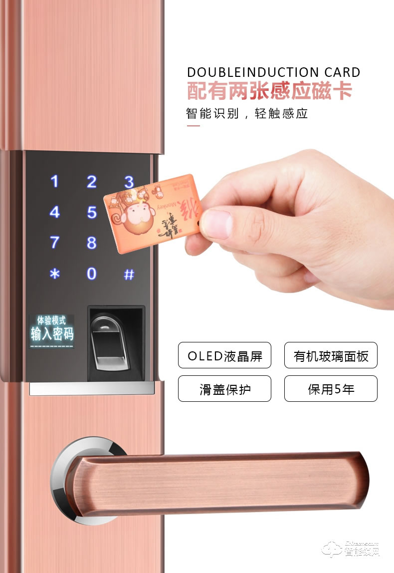 凌仕智能鎖 防盜密碼鎖智能電子鎖