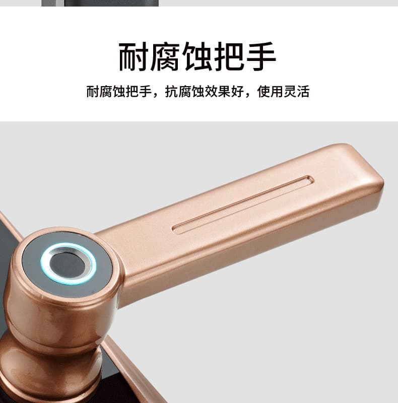 創(chuàng)鴻智能鎖 T21家用一握開把手指紋鎖