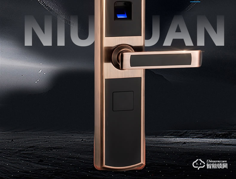 紐冠智能鎖 N816家用電子鎖智能門鎖