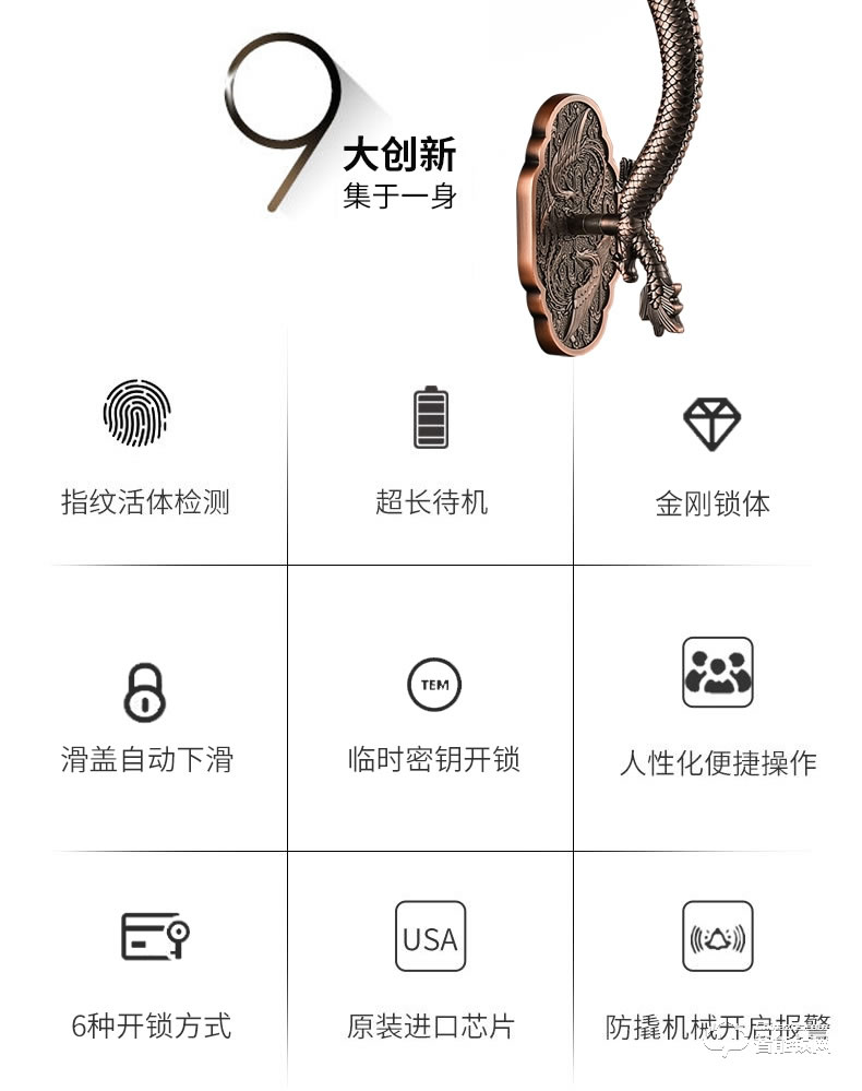 幻侶智能鎖 龍頭別墅門全自動(dòng)雙開門智能密碼鎖