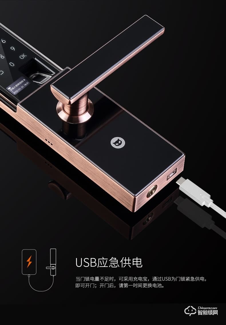 斑點貓智能鎖 W400全自動物聯網大門電子鎖