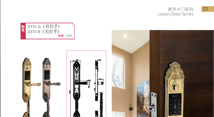 芯億迪智能鎖 別墅大門鎖家用防盜門鎖