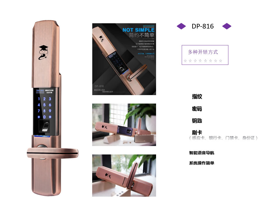 京博士智能鎖 DP-816家用智能鎖密碼鎖