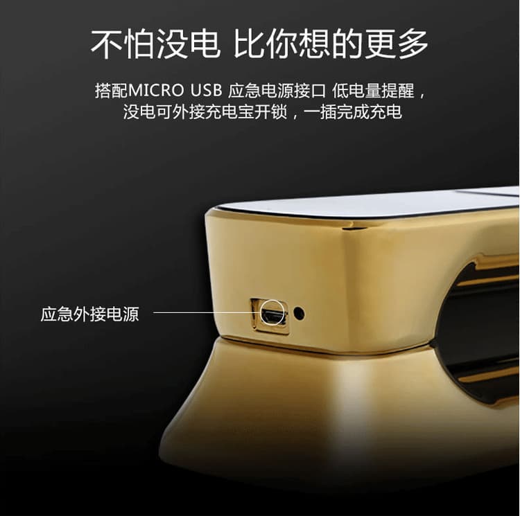 艾仕臣智能鎖 AS-003家用防盜門智能遠(yuǎn)程電子鎖