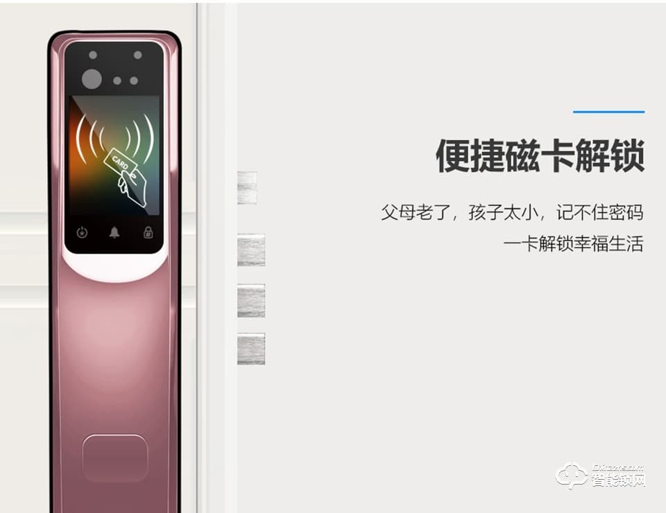 鐵獅東尼智能鎖 T9C一體式全自動人臉智能鎖