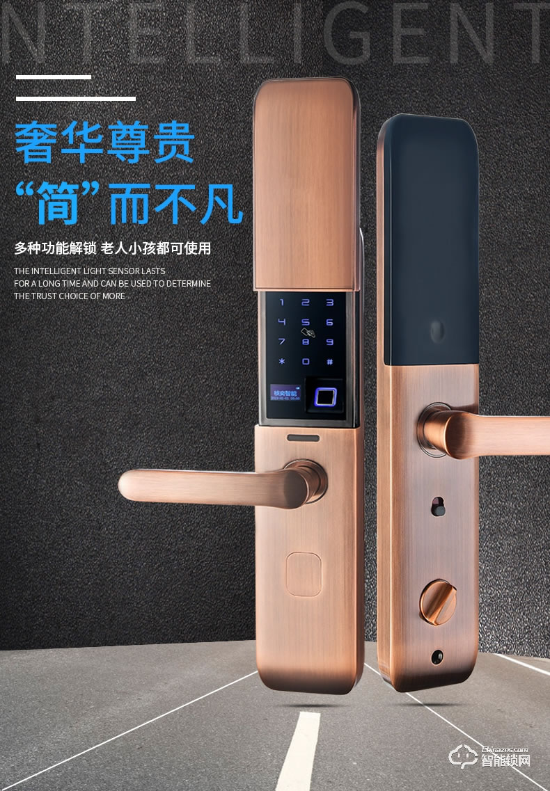核奕智能鎖 C260自動(dòng)滑蓋指紋鎖密碼鎖