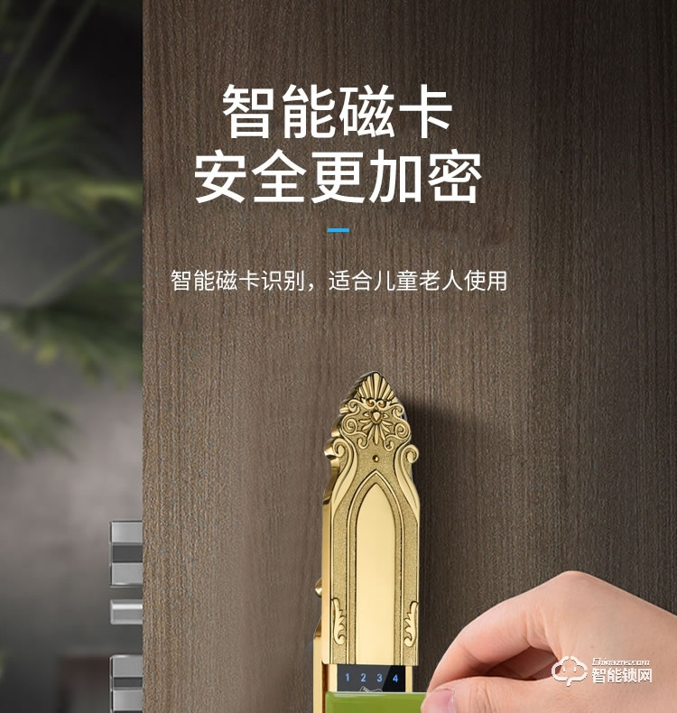 樂固智能鎖 F2大拉手豪華別墅式智能鎖