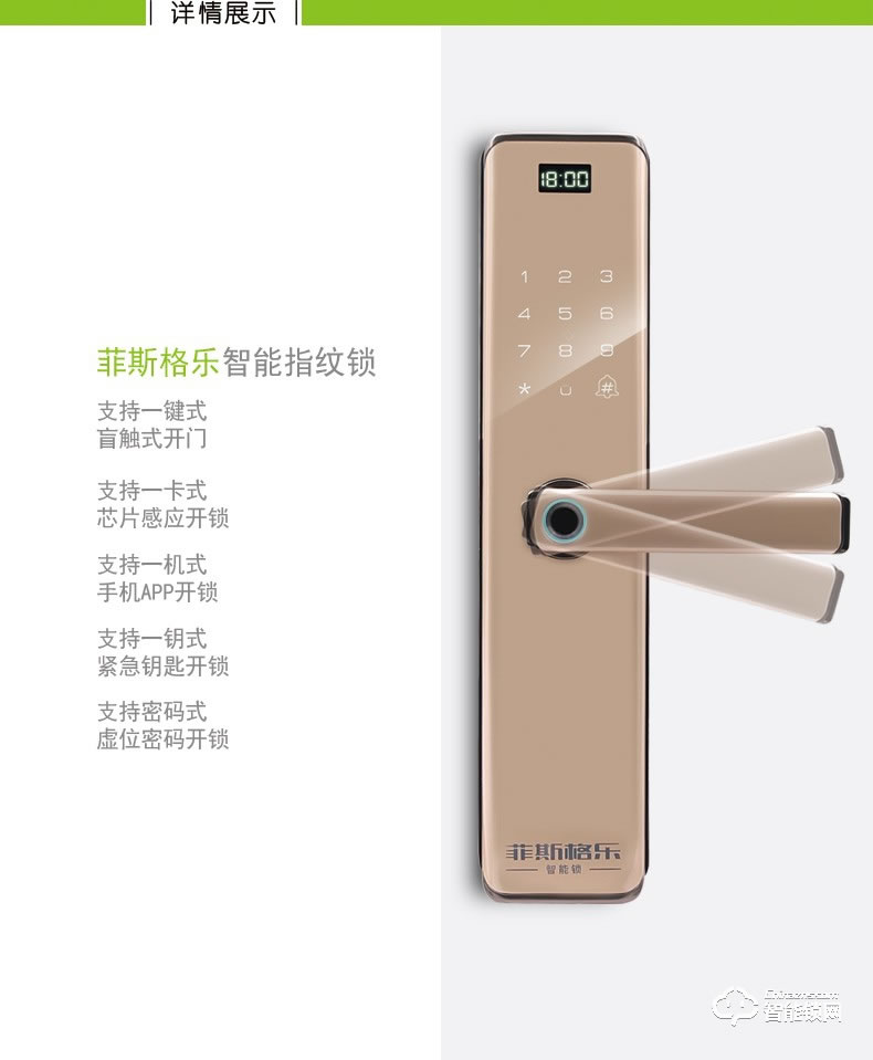 菲斯格樂(lè)智能鎖 6853家用防盜門智能門鎖密碼鎖