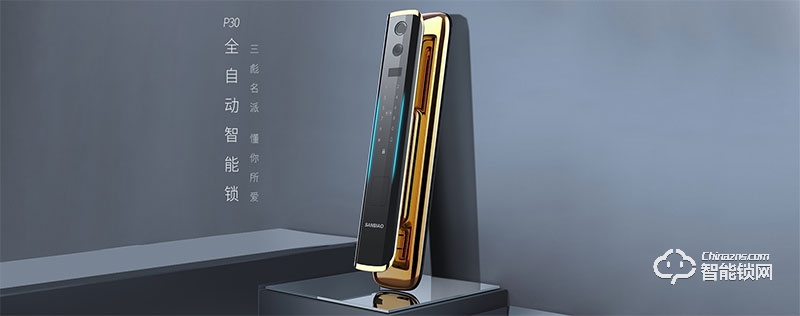 三彪智能鎖 P30家用智能鎖