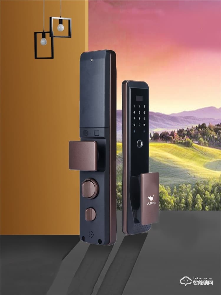 大鵝智能鎖 全自動遠程防盜門智能鎖