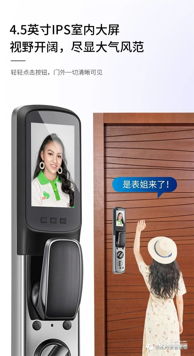 格斯丹頓智能鎖F6Pro  3D人臉視頻智能鎖