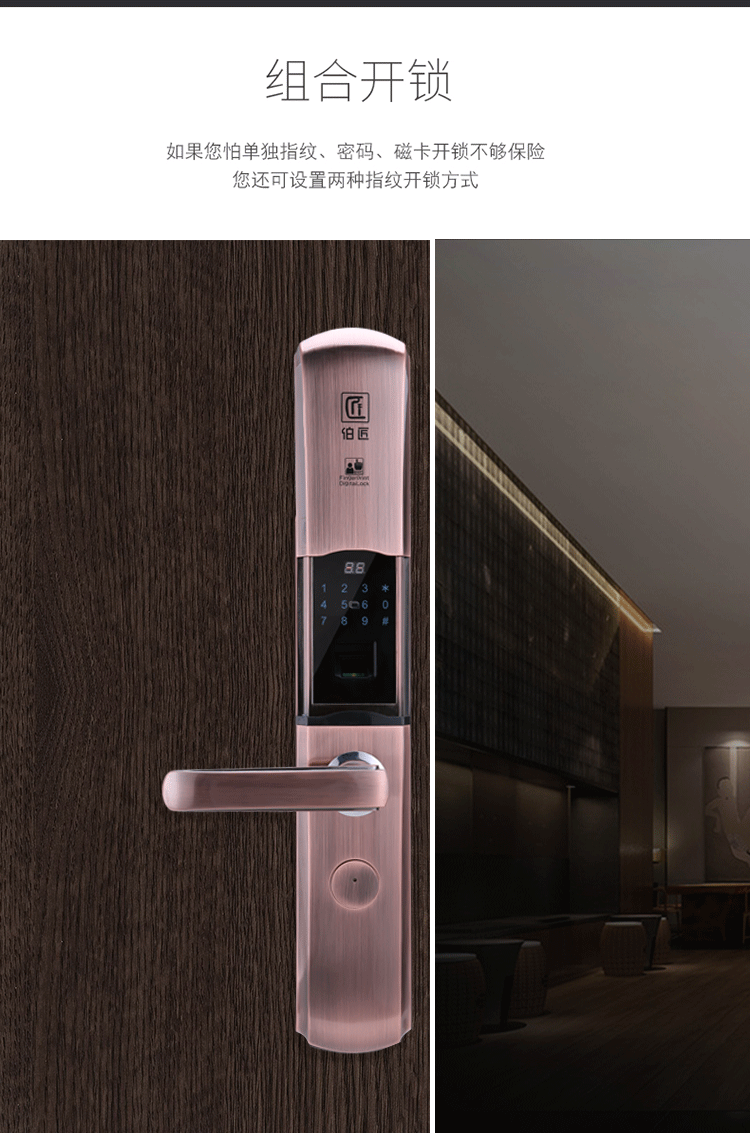 伯匠BJ-201智能鎖 家用密碼電子鎖