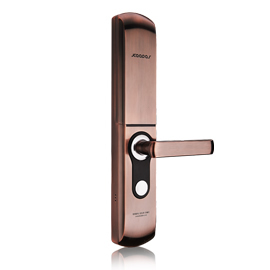 凱迪仕智能指紋鎖虛位密碼、K+K技術