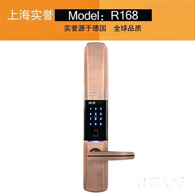 實譽指紋鎖 室外電子防盜門鎖 智能半導體鎖