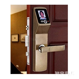 特安捷智能鎖 人臉識(shí)別智能鎖 家用防盜密碼鎖