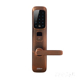 大華樂橙指紋鎖 多種開鎖方式